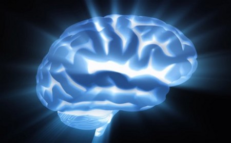 Деятельность головного мозга и закон сохранения энергии